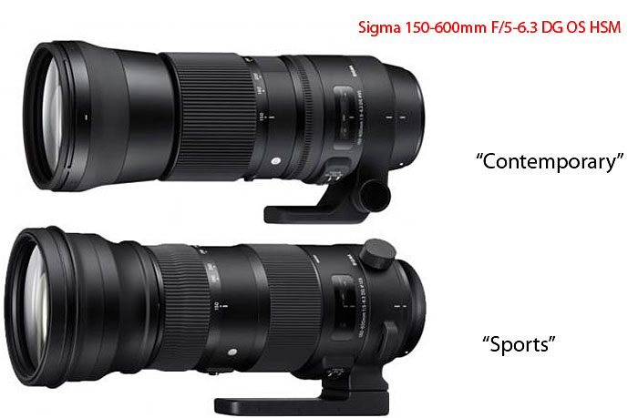 Сравнение Sigma 150-600mm F5-6.3